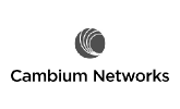 6-cambium